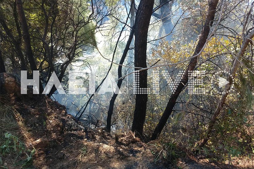 Αρχ. Ολυμπία: Νέα αγροτοδασική πυρκαγιά σε εξέλιλξη