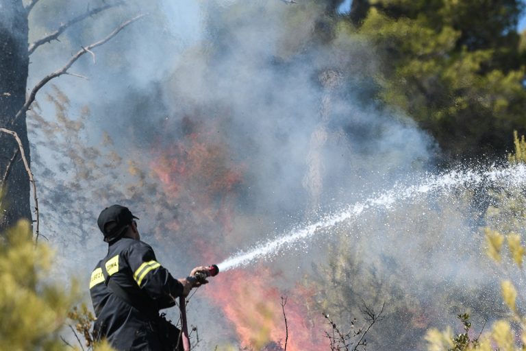 Σύλληψη για δασική πυρκαγιά στην Ηλεία