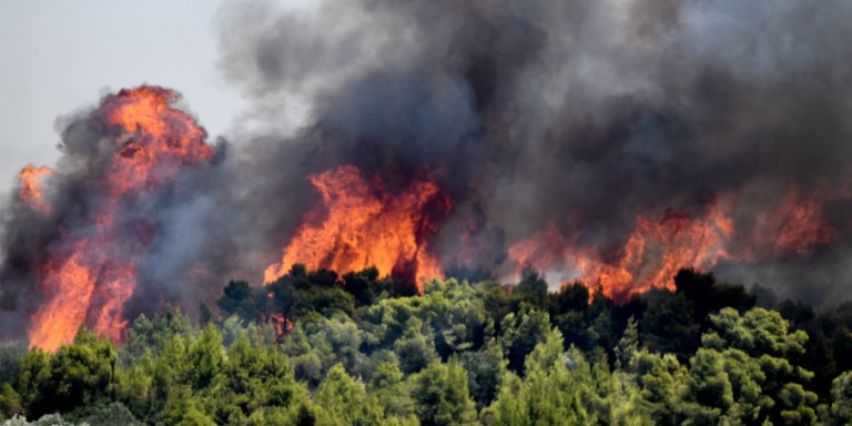 Π.Σ.-203 Δασικές πυρκαγιές το τελευταίο 48ωρο