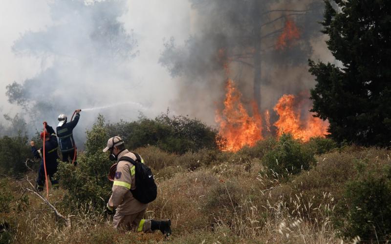 Πυροσβεστική: 39 δασικές πυρκαγιές το τελευταίο 24ωρο (17/03/22)