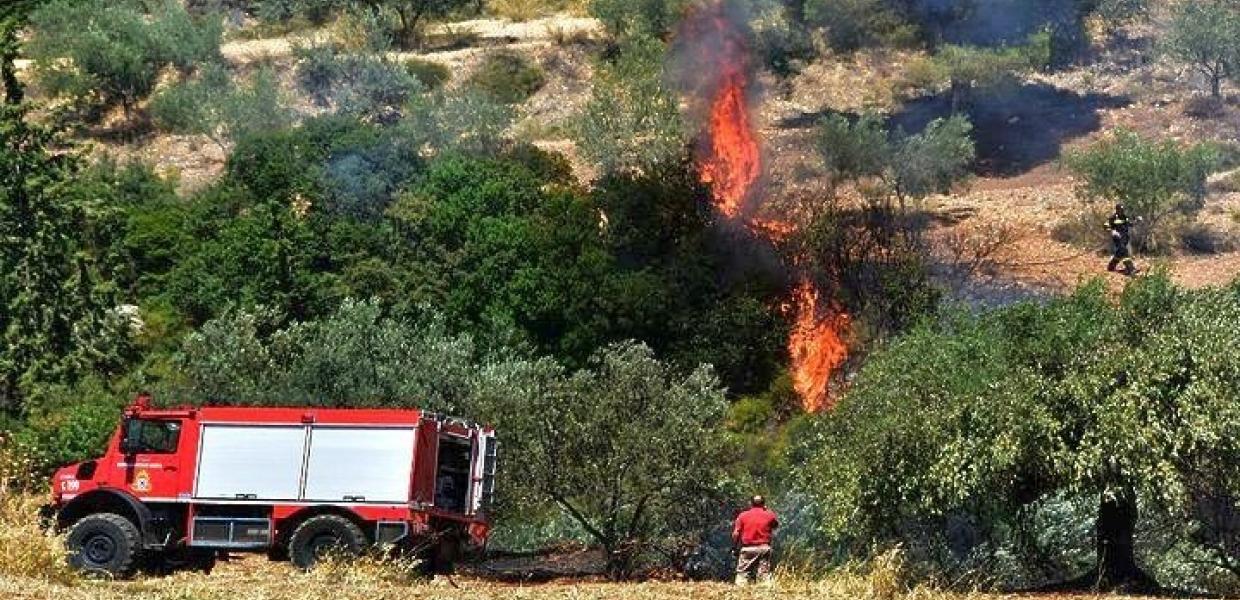 Σύλληψη για πυρκαγιά στην Ηλεία και επιβολή διοικητικού προστίμου στον Πολύγυρο Χαλκιδικής