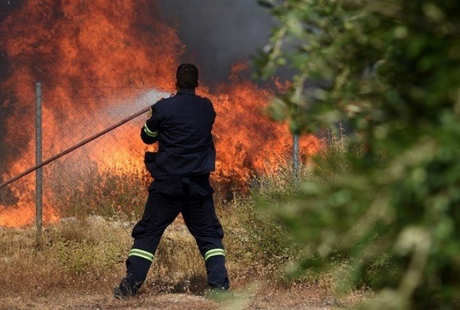 Πυρκαγιά σε δασική έκταση Ματέσι Ηλείας