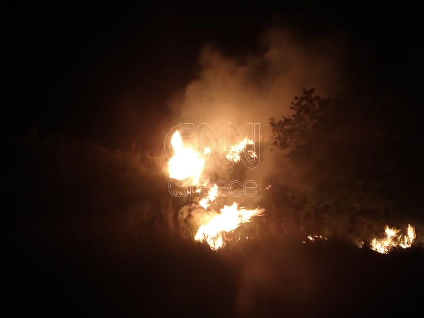 Πυρκαγιά στην Κεφαλονιά: Επί ποδός η Πυροσβεστική στο χωριό Λιβάδι (Φωτό)