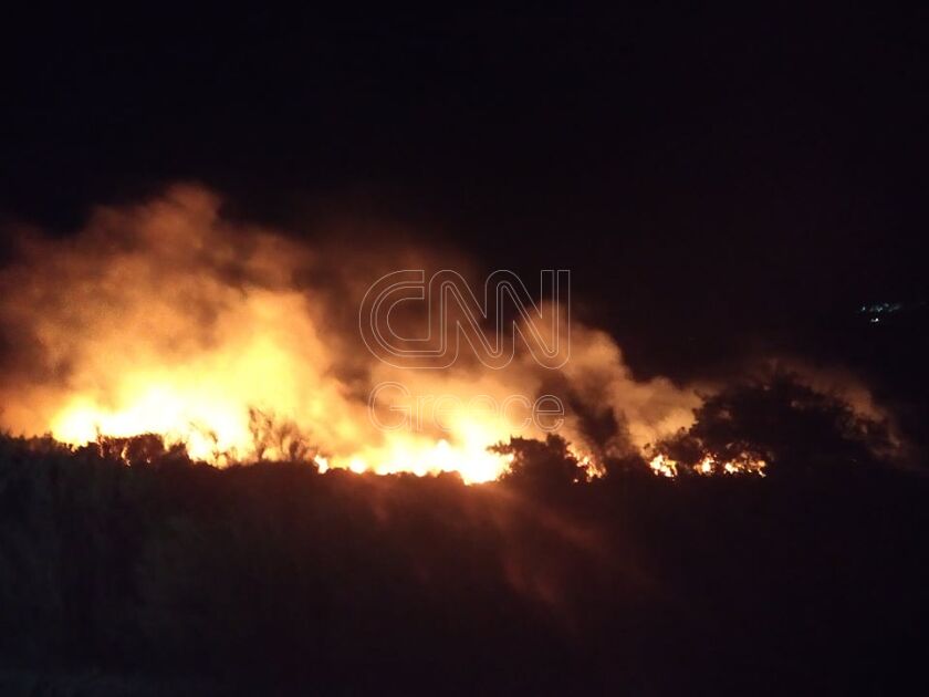Πυρκαγιά στην Κεφαλονιά: Επί ποδός η Πυροσβεστική στο χωριό Λιβάδι (Φωτό)