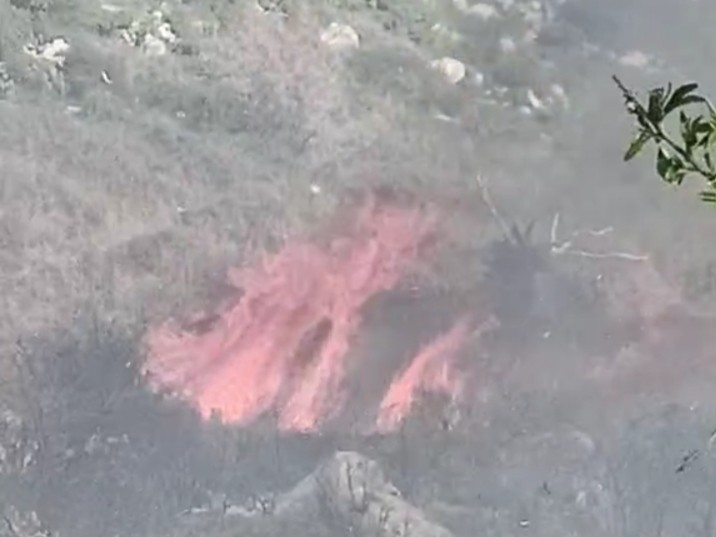 Φωτιά σε δασική έκταση στην Μάνη (Φωτό & Βίντεο)