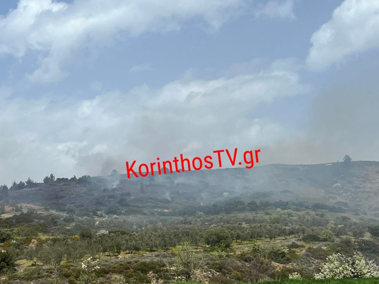 Σε εξέλιξη πυρκαγιά σε αγροτοδασική έκταση στην Αρχαία Κόρινθο (Φωτό)