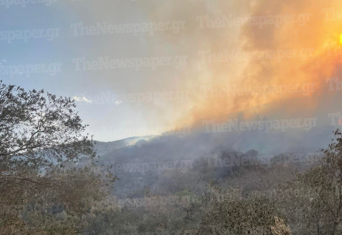 Μεγάλη πυρκαγιά σε δασώδη περιοχή στο Νότιο Πήλιο