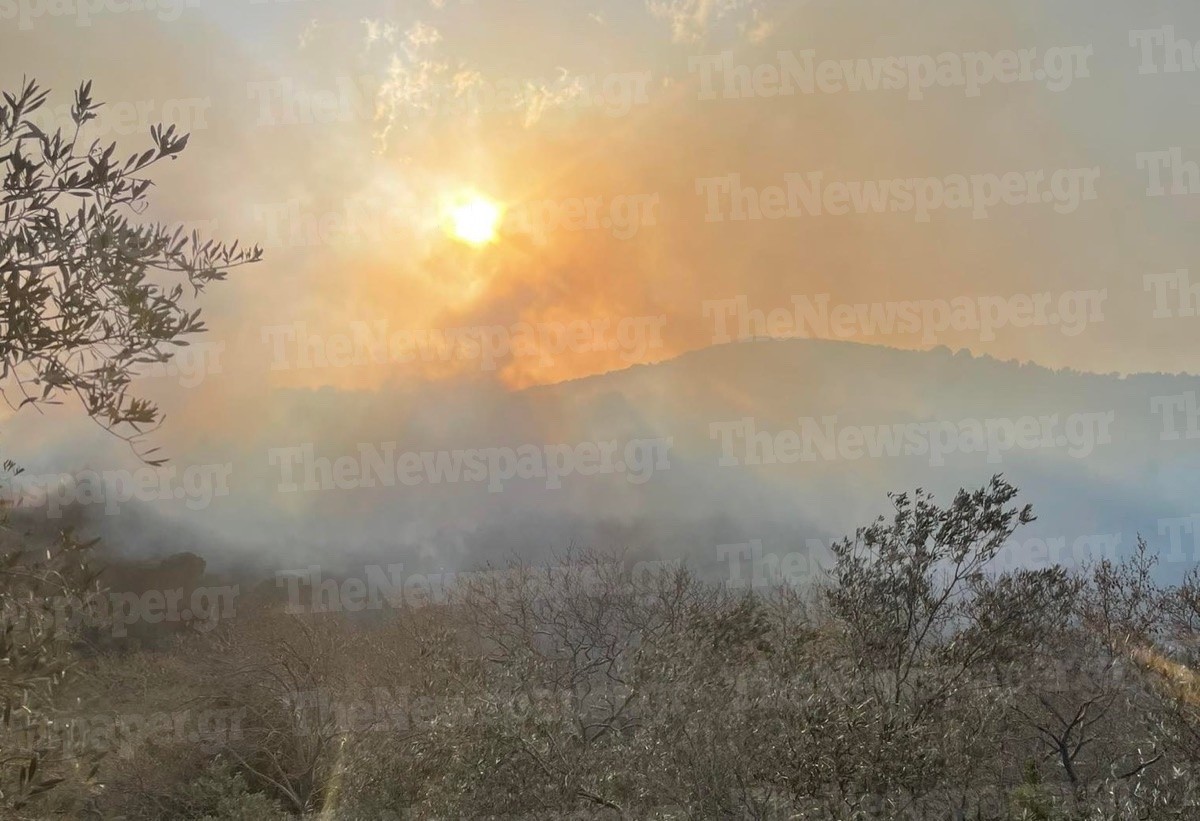 Μεγάλη πυρκαγιά σε δασώδη περιοχή στο Νότιο Πήλιο