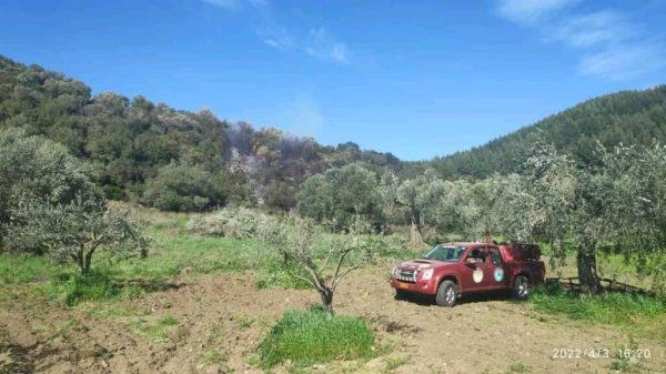 Πυρκαγιά σε δασική έκταση στο Πόρτο Κουφό Χαλκιδικής