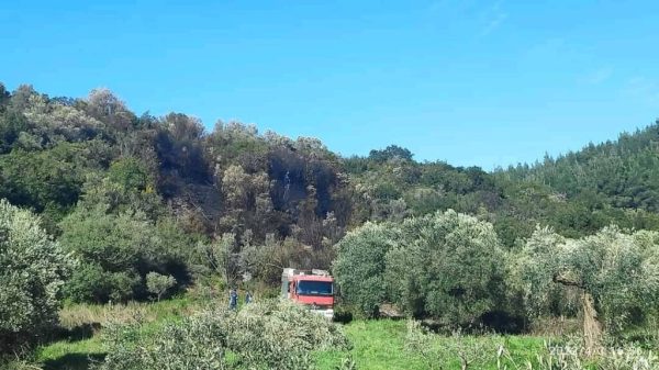 Πυρκαγιά σε δασική έκταση στο Πόρτο Κουφό Χαλκιδικής