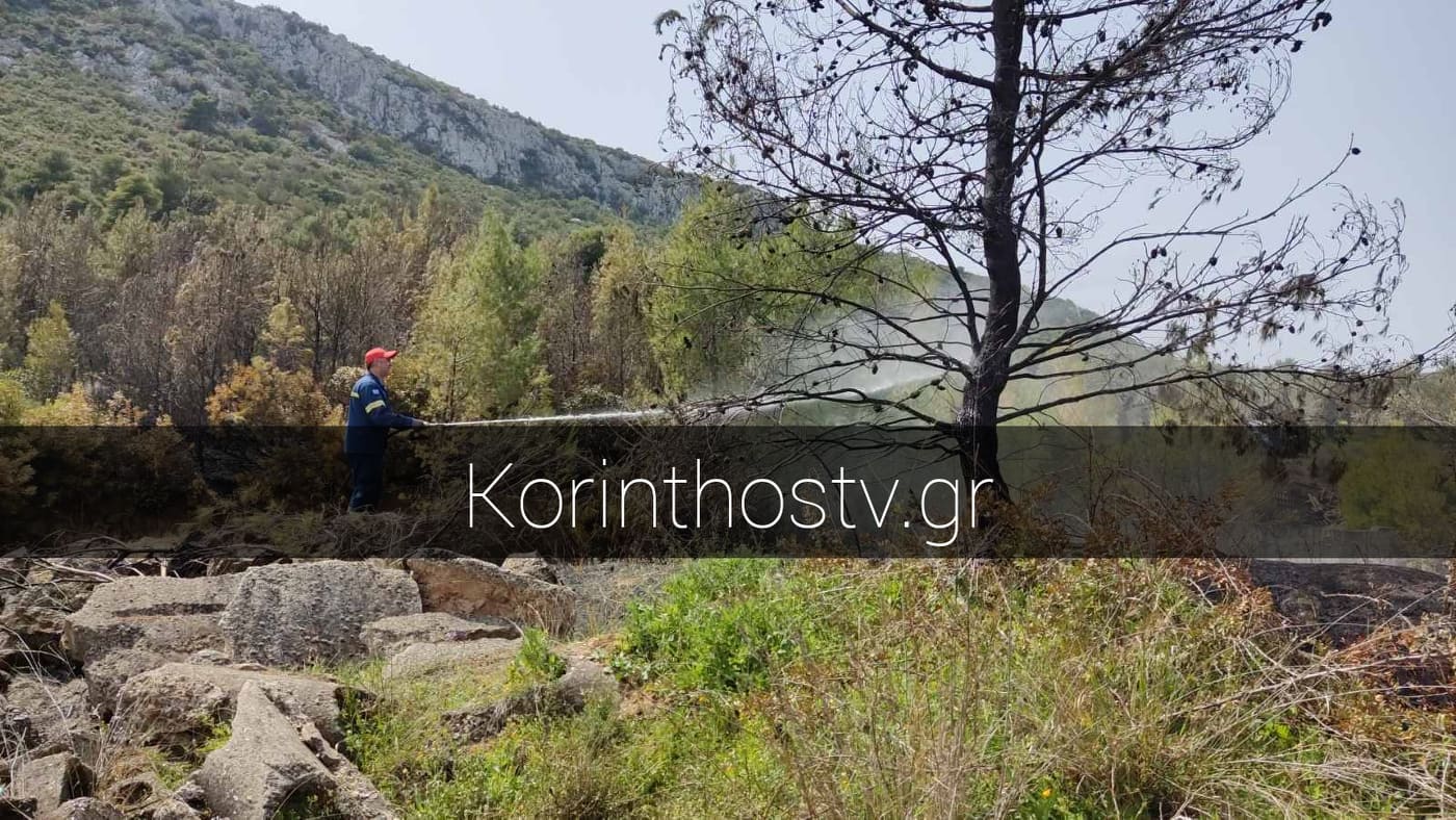 Πυρκαγιά στο Μαψό: Δείτε αποκλειστικές εικόνες από το σημείο