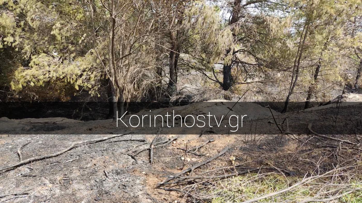 Πυρκαγιά στο Μαψό: Δείτε αποκλειστικές εικόνες από το σημείο