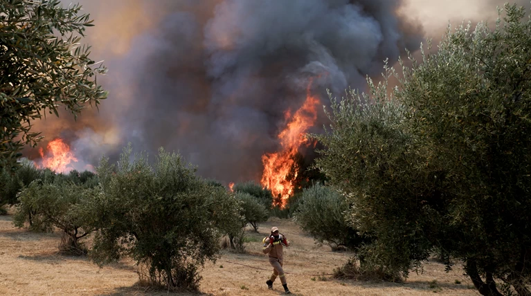 Πυρκαγιά σε αγροτοδασική έκταση σε εξέλιξη στο Βασιλάκη Ηλείας