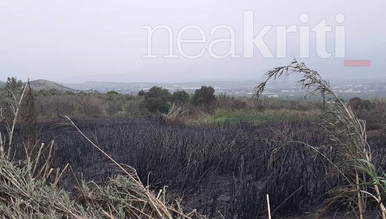 Η πυρκαγιά στην Πόμπια Κρήτης έκαψε 6 στρέμματα (Φωτό)