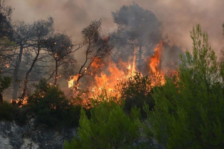 Οι καλοκαιρινές πυρκαγιές