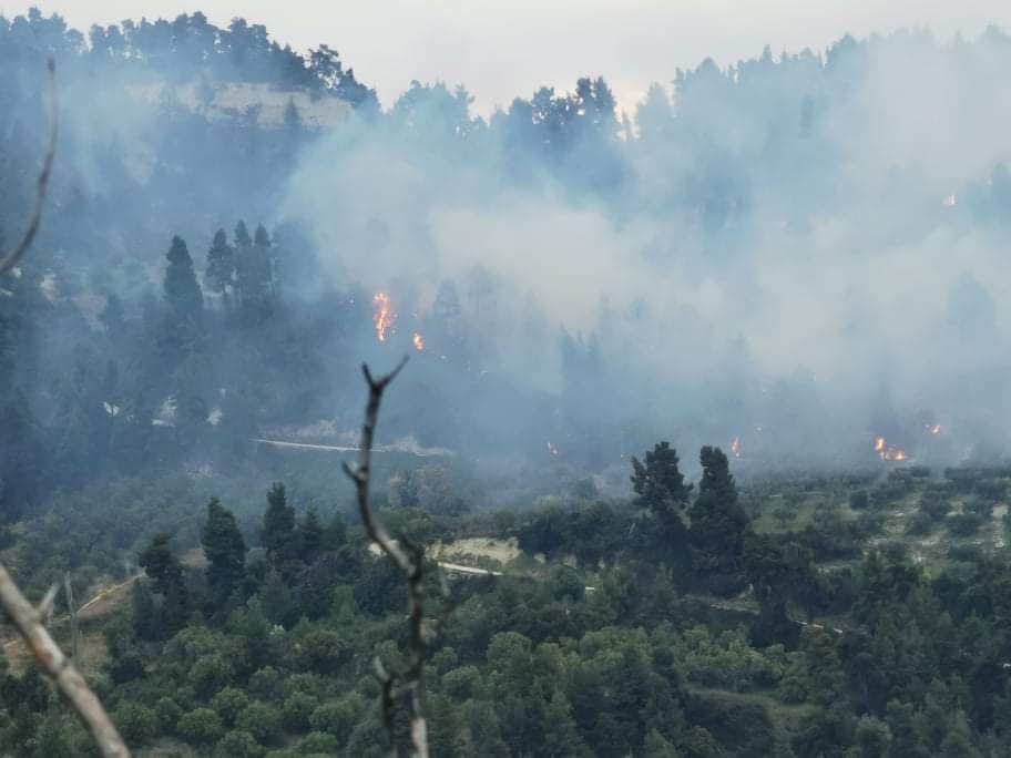 Σε εξέλιξη μεγάλη πυρκαγιά σε δασική έκταση στη Χαλκιδική (Φωτό)