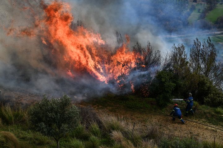 Πυρκαγιά σε δασικη έκταση στην περιοχή μεταξύ Λάμπου Μύλοι και Πηγή στην Λέσβο