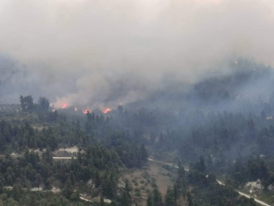 Σε εξέλιξη μεγάλη πυρκαγιά σε δασική έκταση στη Χαλκιδική (Φωτό)