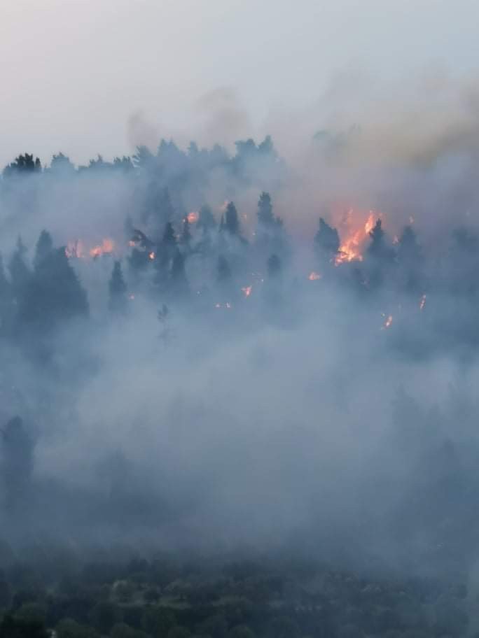 Μεγάλη πυρκαγιά σε δασική έκταση στην Χαλκιδική (Φωτό)