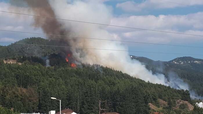 Πυρκαγιά σε εξέλιξη σε δασική έκταση στην Ελασσόνα