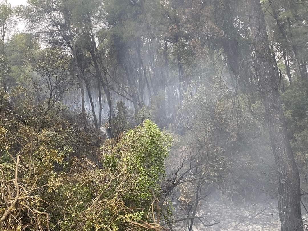 Συναγερμός στην Πυροσβεστική για πυρκαγιά στην Χαλκιδική