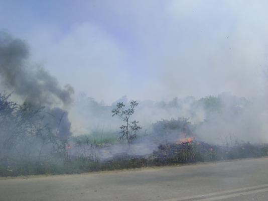 Πυρκαγιά εν υπαίθρω στην Αλεξάνδρεια Ημαθίας (Φωτό)