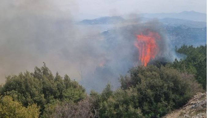 Πυροσβεστική: 72 δασικές πυρκαγιές το τελευταίο 24ωρο (02/04/22)