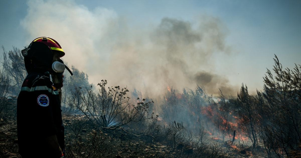 Πυρκαγιά σε δασική έκταση στην Αργυρά Αχαΐας
