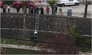 Γρεβενά: Η Πυροσβεστική Υπηρεσία απεγκλώβισε ένα σκυλί από τον Γρεβενίτη ποταμό (Βίντεο)
