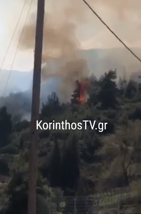 Τέσσερις πυρκαγιές μέσα σε λίγες ώρες εχθές στην Κορινθία (video-φώτο)