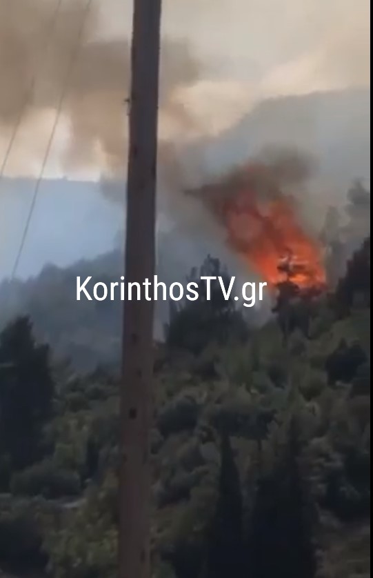 Τέσσερις πυρκαγιές μέσα σε λίγες ώρες εχθές στην Κορινθία (video-φώτο)