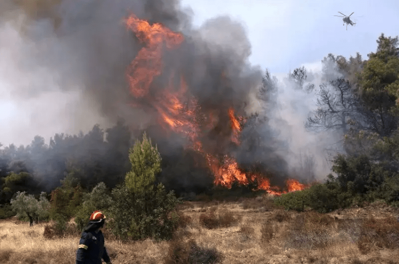 Πυρκαγιά σε δασική έκταση στους Μεταξάδες Έβρου