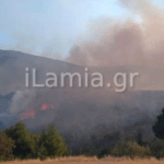 Πυρκαγιά σε δασική έκταση στην Καρυά Καμένων Βούρλων Φθιώτιδας