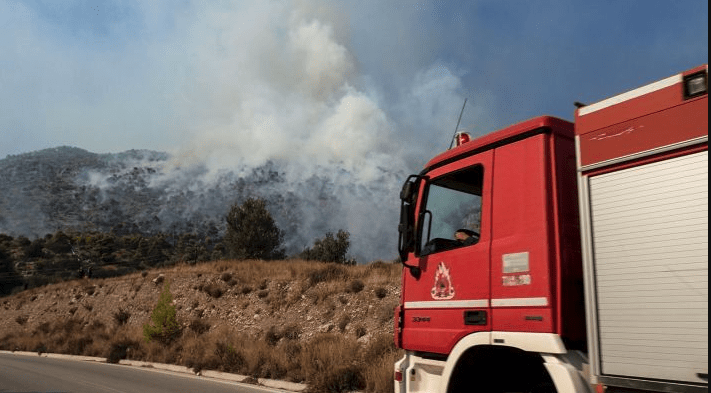 Λακωνία: Σύλληψη ενός άνδρα ως υπαίτιου πρόκλησης εμπρησμού από αμέλεια σε αγροτοδασική έκταση
