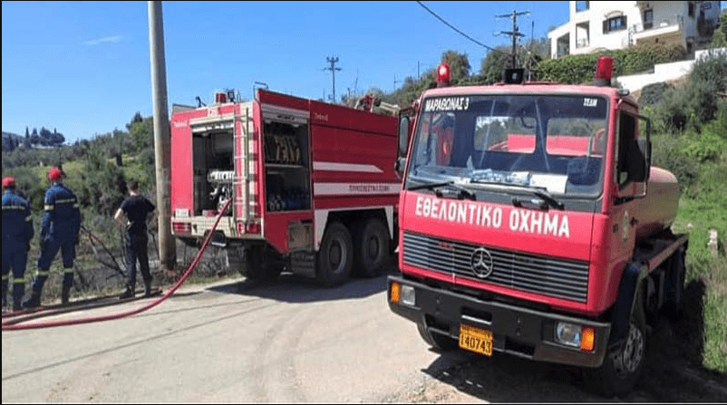 Φωτιά εν υπαίθρω στο Γραμματικό Αττικής (Φωτό)