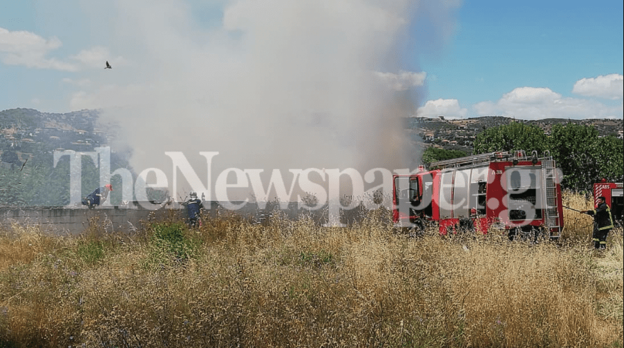 Πυρκαγιά σε οικοπεδικό χώρο στην Νέα Ιωνία Μαγνησίας