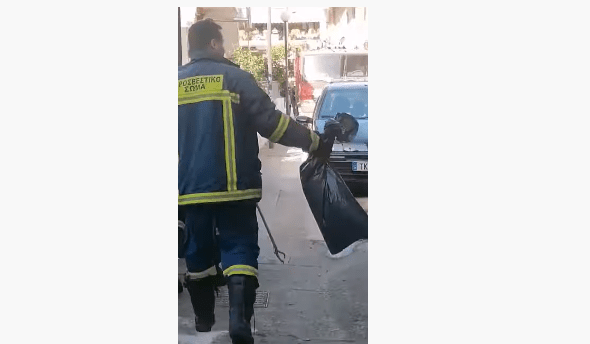 Λάρισα: Φίδι κρύφτηκε σε προφυλακτήρα παιδικού ποδηλάτου - Επενέβη η Πυροσβεστική (Βίντεο)