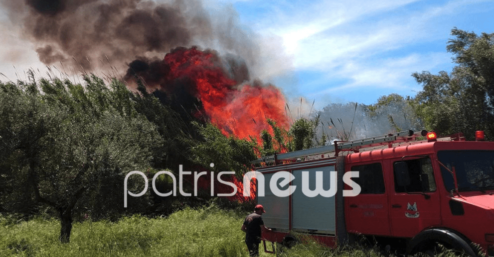 Πυρκαγιά σε έκταση με καλάμια στα Λαστέικα Ηλείας