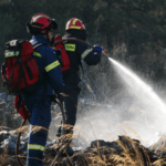 Πυροσβεστική: 28 δασικές πυρκαγιές εκδηλώθηκαν το τελευταίο 24ωρο
