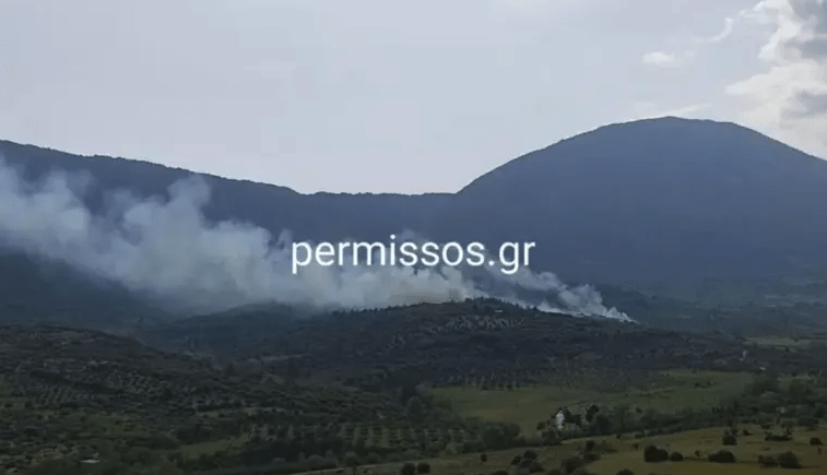 Συναγερμός στην Πυροσβεστική - Πυρκαγιά σε δασική έκταση στην Άσκρη Βοιωτίας