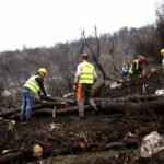 «Μετά τη πυρκαγιά» στη Βαρυμπόμπη: Το συγκλονιστικό βίντεο που αποτυπώνει την αναγέννηση του δάσους