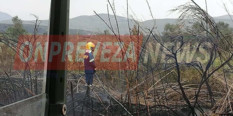 Πυρκαγιά σε έκταση με καλάμια δίπλα από το αεροδρόμιο του Ακτίου (Φωτό)