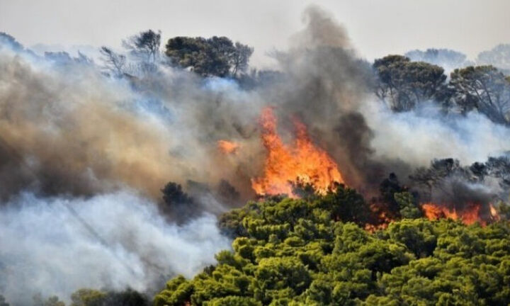 Πυρκαγιά σε δασική έκταση στην περιοχή Ράχη Αλιβερίου Ευβοίας