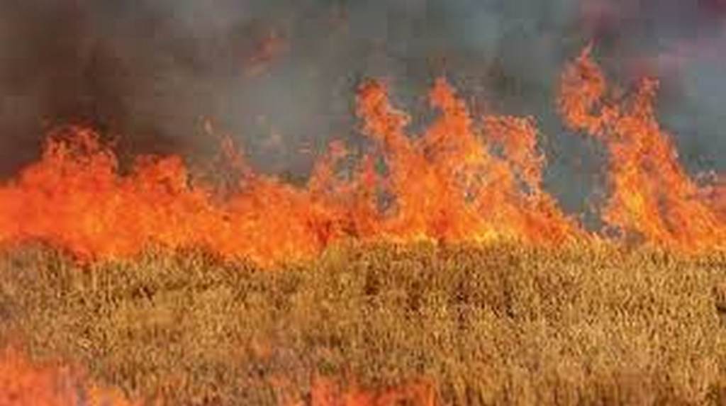 Πυρκαγιά εν υπαίθρω στο Κορωπί Αττικής