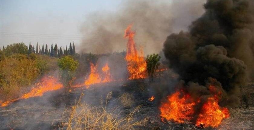 Ζάκυνθος: Ξεκινάει από 1η Μαΐου η αντιπυρική περίοδος - Κακούργημα η πρόκληση πυρκαγιάς