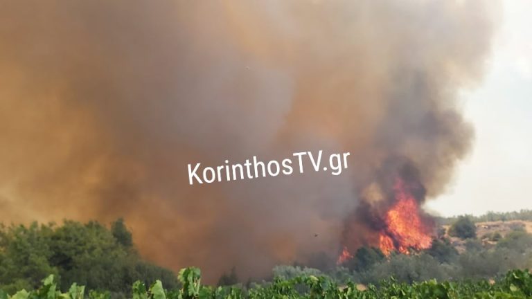 Πυρκαγιά σε αγροτοδασική έκταση σε εξέλιξη κοντά στο Χιλιομόδι Κορινθίας