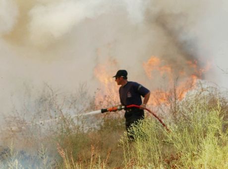 Χαλκιδική: “Καμπανάκι” από την Πυροσβεστική λόγω ισχυρών ανέμων – “Δεν επιτρέπεται η διενέργεια οποιασδήποτε καύσης”