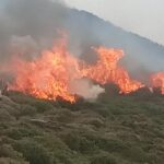 Πυροσβεστική: 16 δασικές πυρκαγιές το τελευταίο 24ωρο (24/04/22)