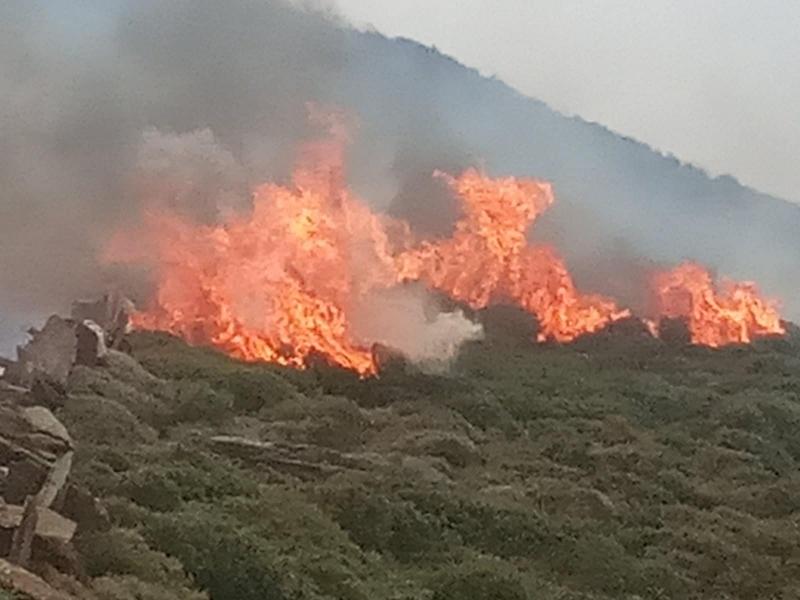 Πυροσβεστική: 16 δασικές πυρκαγιές το τελευταίο 24ωρο (24/04/22)