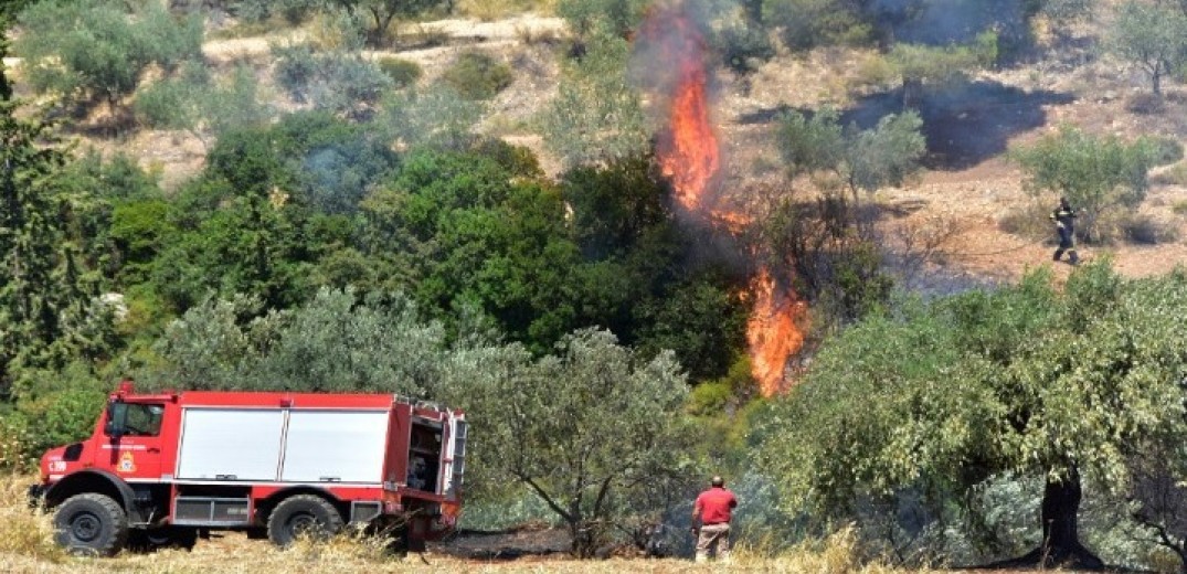 Πυρκαγιά σε εξέλιξη σε γεωργική έκταση στο Πλατάνι Πάτρας